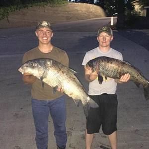 Meet your Posher, Tanner